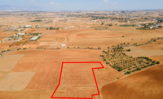 Agricultural field in Agioi Trimithias, Nicosia 