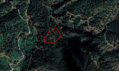 Spacious agricultural for sale in Nicosia