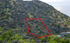 Agricultural field in pachyammos, Nicosia 