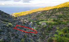 Agricultural field in pachyammos, Nicosia 