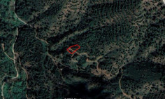 Agricultural to rent in Nicosia