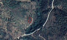 Four agricultural fields in kampos, Nicosia 