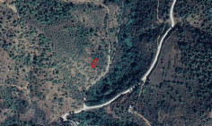 Four agricultural fields in kampos, Nicosia 
