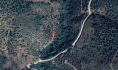 Four agricultural fields in kampos, Nicosia 