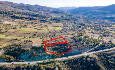 Two agricultural fields in Laneia, Limassol 