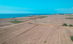 Land 14347 m2 for sale in Softades, Larnaca