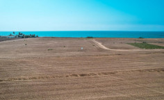 Land 14347 m2 for sale in Softades, Larnaca