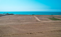 Land 14347 m2 for sale in Softades, Larnaca