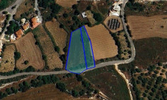 Residential 2877 m2 for sale in Drouseia, Paphos