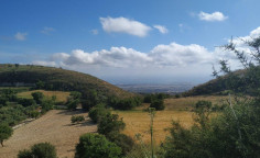 Residential 5113 m2 for sale in Tsada, Paphos