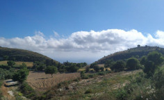 Residential 5113 m2 for sale in Tsada, Paphos
