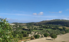 Residential 5113 m2 for sale in Tsada, Paphos