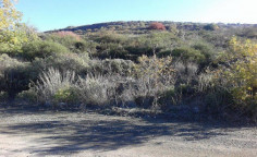 Spacious land for sale in Laneia, Limassol