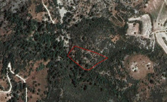 Beautiful agricultural 6689 m2 for sale in Dora