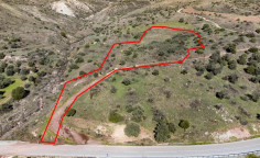 Shared field in trachypedoula, Paphos 