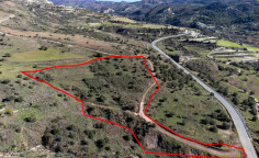 Shared field in trachypedoula, Paphos 