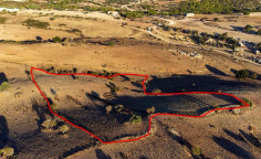 Shared agricultural field in androlikou, Paphos 