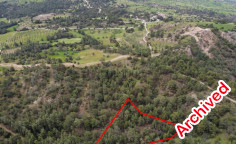 Shared field in kritou marottou, Paphos 