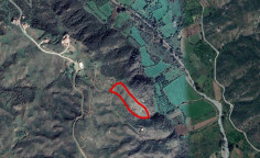 Agricultural field in Kato Pyrgos, Nicosia 