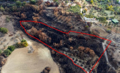 Agricultural for sale in Drymou