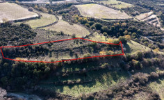 Beautiful agricultural 4683 m2 for sale in Dora