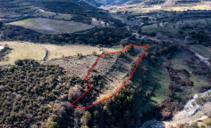 Beautiful agricultural 4683 m2 for sale in Dora
