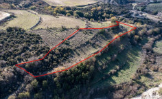 Beautiful agricultural 4683 m2 for sale in Dora
