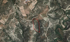 Agricultural 25084 m2 for sale in Dora