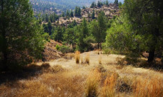 Residential field in Agios Theodoros soleas, Nicosia , Larnaca