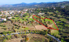 Residential 11706 m2 for sale in Peristerona, Nicosia