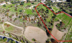Residential 11706 m2 for sale in Peristerona, Nicosia
