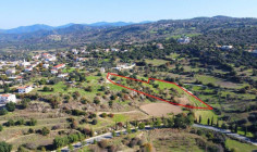Residential 11706 m2 for sale in Peristerona, Nicosia