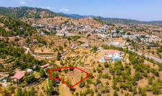 Shared residential field in Agios Epifanios oreinis, Nicosia , Nicosia