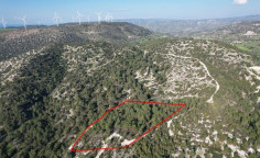 Shared field in pano archimandrita, Paphos 
