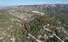 Shared field in pano archimandrita, Paphos 