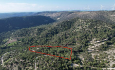 Shared field in pano archimandrita, Paphos 