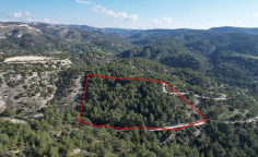 Shared field in pano archimandrita, Paphos 