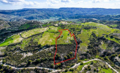 Beautiful agricultural for sale in Salamiou