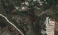 Luxury agricultural 3345 m2 for sale in Dora