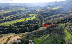 Agricultural field in miliou, Paphos 