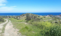 Residential field in Kato Pyrgos, Nicosia , Nicosia