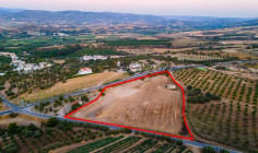 Residential field in Polis Chrysochous, Paphos , Paphos