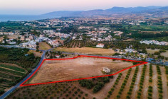 Residential field in Polis Chrysochous, Paphos , Paphos