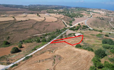 Shared field in Pano Arodes, Paphos , Paphos
