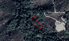 Large agricultural 5017 m2 for sale in Dora