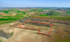 Field in orounta, Nicosia 