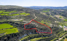 Beautiful agricultural for sale in Paphos
