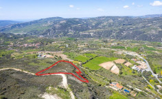Beautiful agricultural for sale in Paphos