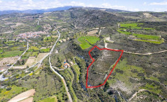 Beautiful agricultural for sale in Paphos