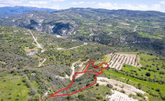 Shared agricultural fields in arminou, Paphos 